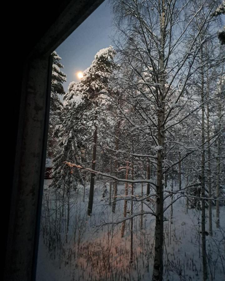 Room In Polar Circle Rovaniemi Eksteriør bilde